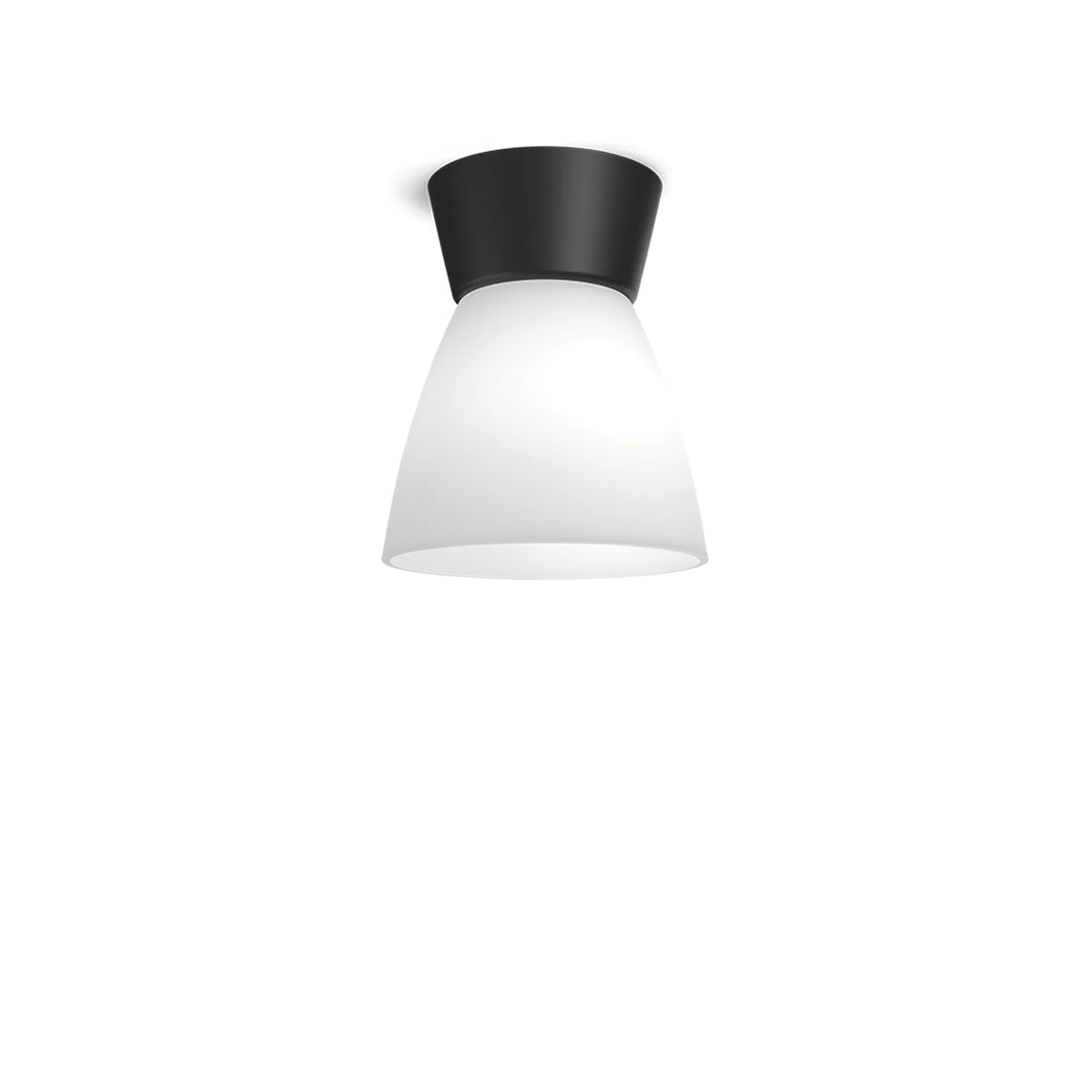 Bizzo_223707389_F