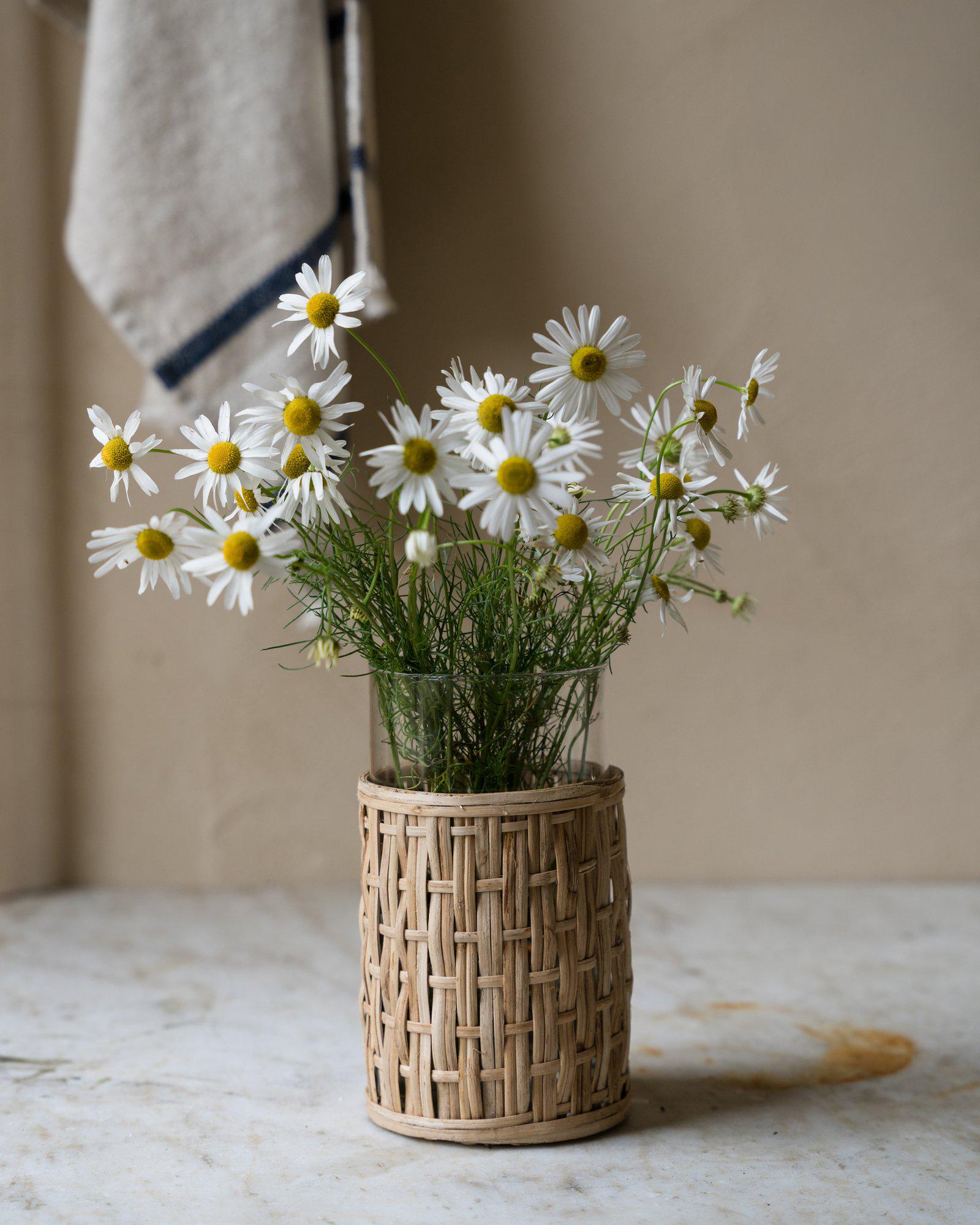 ERNST_SS26_2000px-17