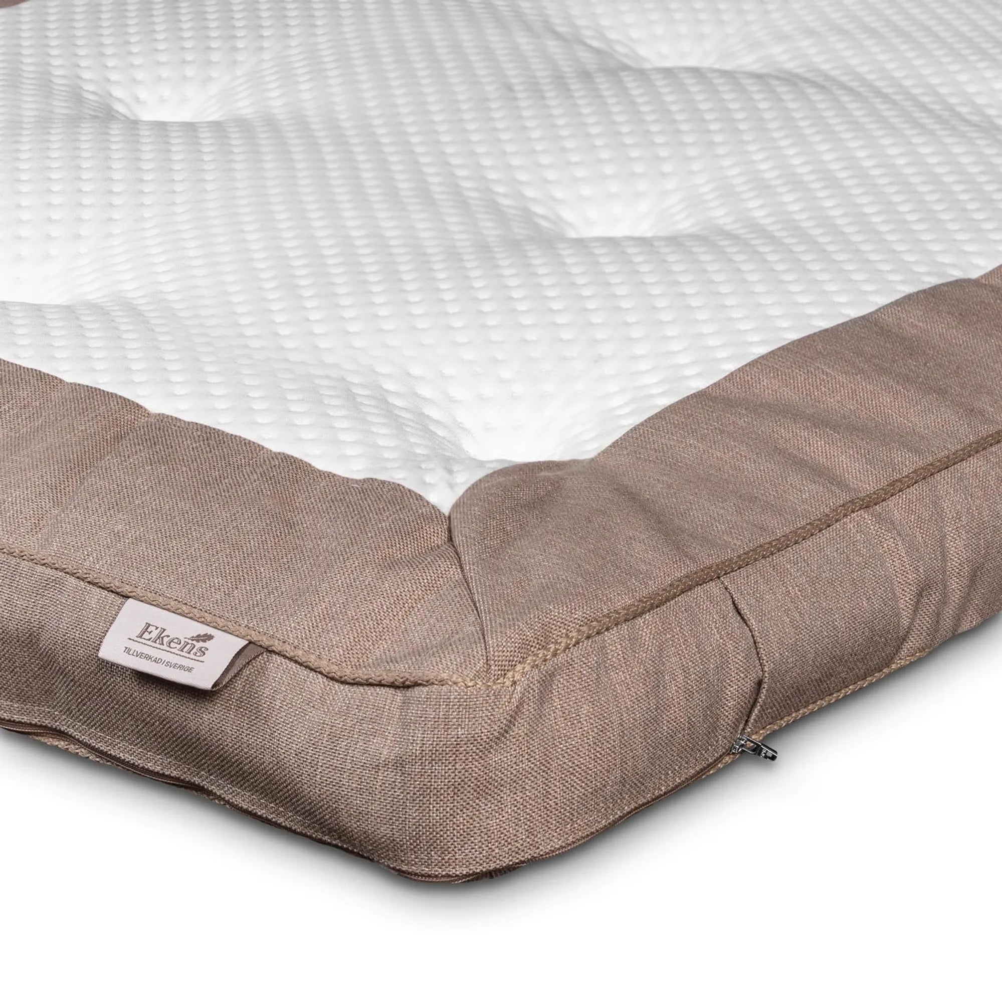 021002306_2