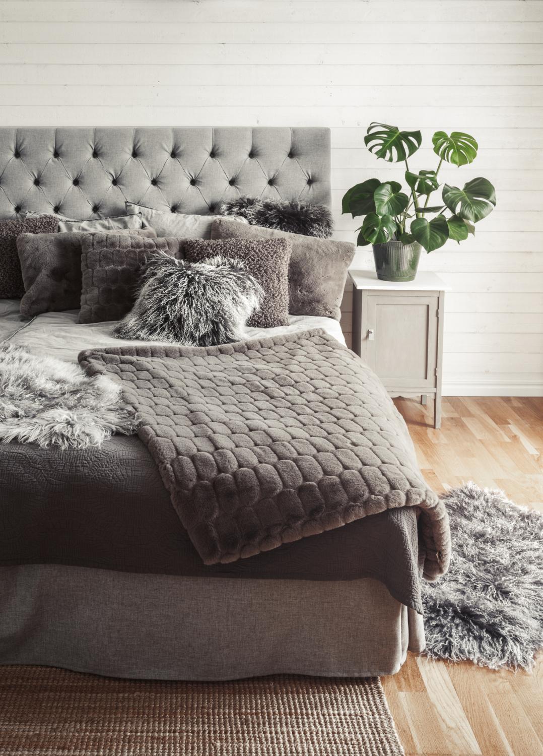 skinnwille-15-juni-21-021_grande